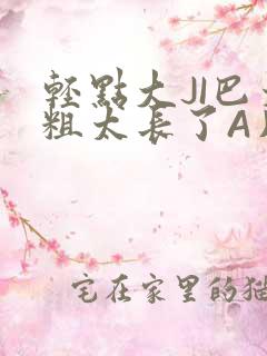 轻点大JI巴太粗太长了A片