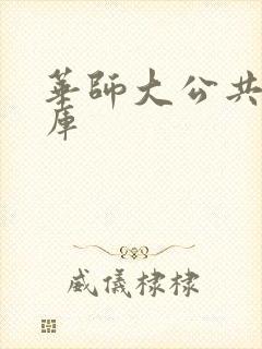 华师大公共数据库