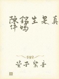 陈铭生是真实事件吗