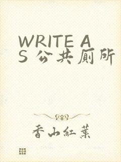 WRITE AS 公共厕所