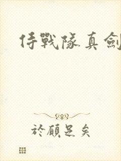 侍战队真剑者2