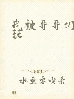 我被哥哥们轮流玩