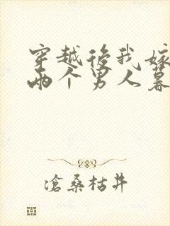 穿越后我嫁给了两个男人暮色酒歌