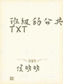 班级的公共玩具TXT