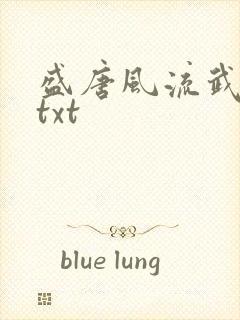 盛唐风流武状元txt