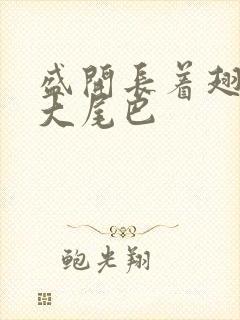 盛开长着翅膀的大尾巴