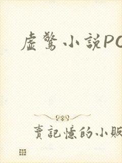 虚惊小说PO