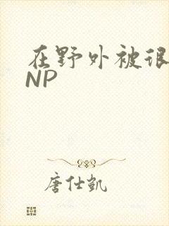 在野外被很多人NP