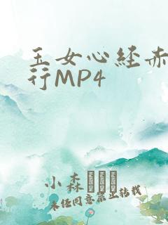 玉女心经赤裸修行MP4