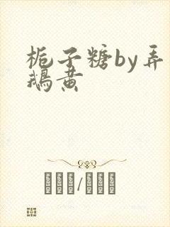 栀子糖by弄白鹅黄