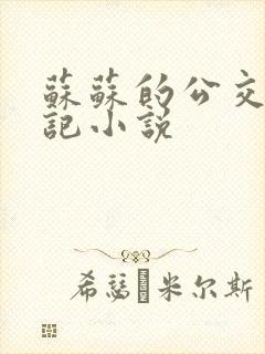 苏苏的公交车日记小说