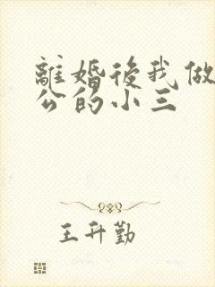 离婚后我做了老公的小三