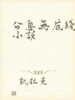 公息无底线的爱小说