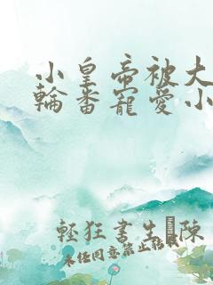 小皇帝被大臣们轮番宠爱小说