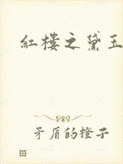 红楼之黛玉之弟