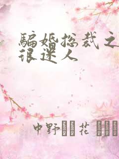 骗婚总裁之老婆很迷人