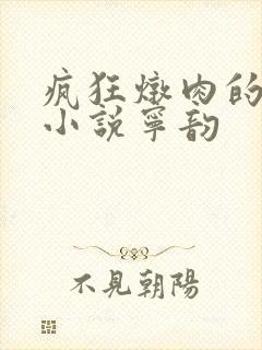 疯狂炖肉的全部小说宁韵