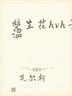 双生花hvh予温