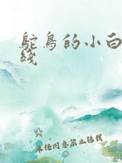 鸵鸟的小白脸路线