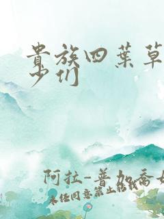 贵族四叶草的恶少们