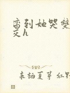 脔到她哭双根宫交h