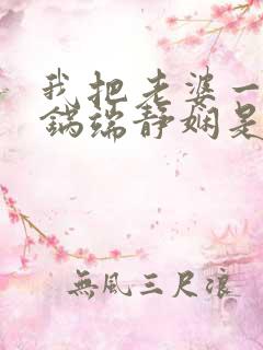 我把老婆一家一锅端静娴是什么书