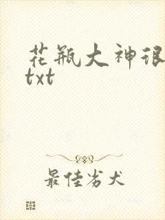 花瓶大神很菜鸟txt