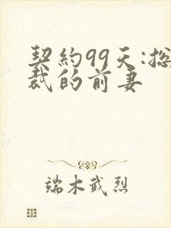 契约99天:总裁的前妻