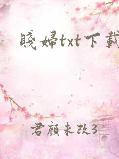 贱妇txt下载