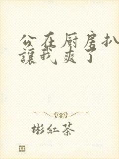 公在厨房扒开腿让我爽了