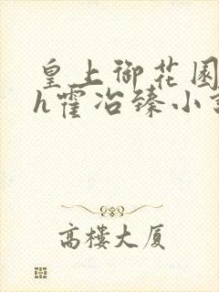 皇上御花园hlh霍冶臻小说