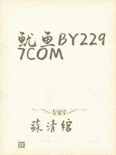 鱿鱼BY2297COM