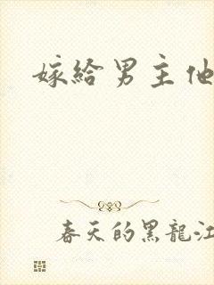 嫁给男主他爸爸