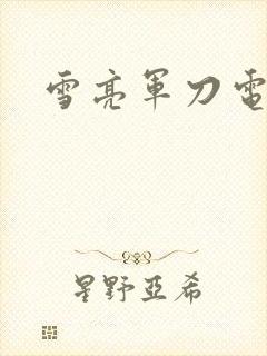 雪亮军刀电视剧