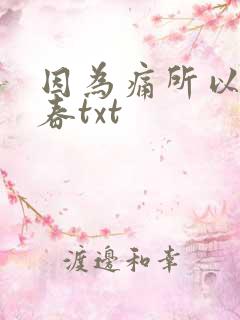 因为痛所以叫青春txt