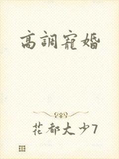高调宠婚