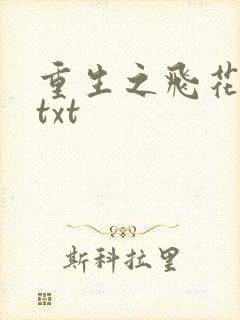 重生之飞花落照txt
