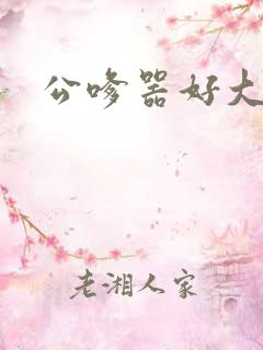 公嗲器好大好H