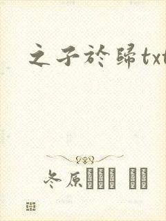之子于归txt