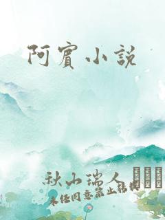 阿宾小说