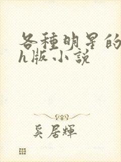 各种明星的综艺h版小说