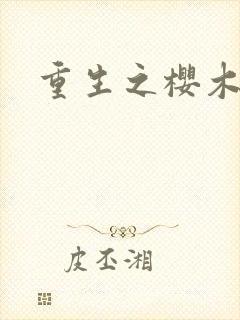 重生之樱木花道