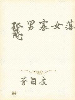 孤男寡女落瑛纷飞