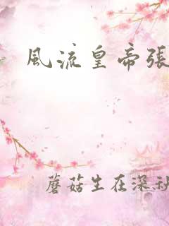 风流皇帝张无忌