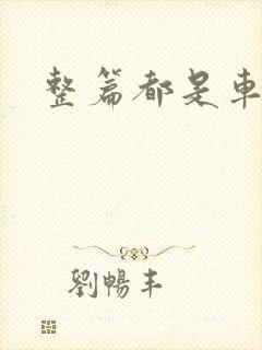 整篇都是车的肉