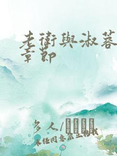 老卫与淑蓉全部章节