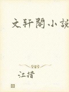 文轩阁小说网