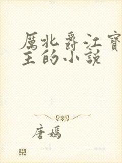 厉北爵江宝宝男主的小说