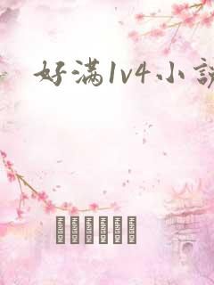 好满1v4小说