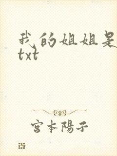 我的姐姐是美女txt